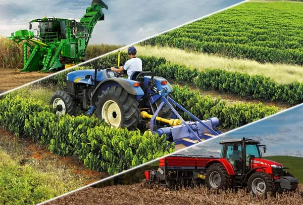 Setor Agrícola e Florestal